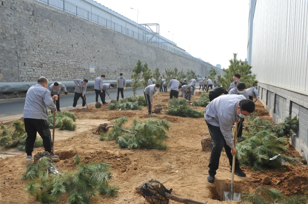 650.webp.jpg 650.webp.jpg