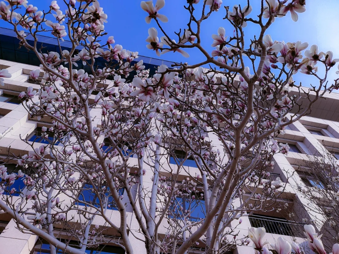 642.webp.jpg 642.webp.jpg