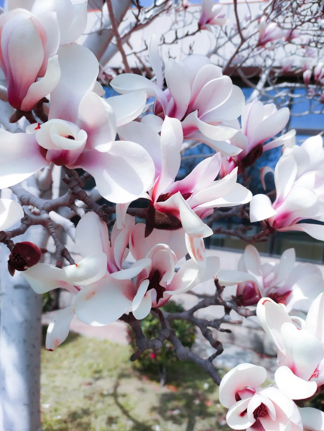 643.webp.jpg 643.webp.jpg